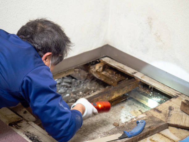 Best Water Damage Restoration  in Mission Viejo, CA