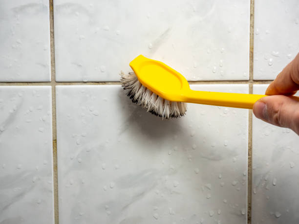 Best Commercial Mold Removal  in Mission Viejo, CA