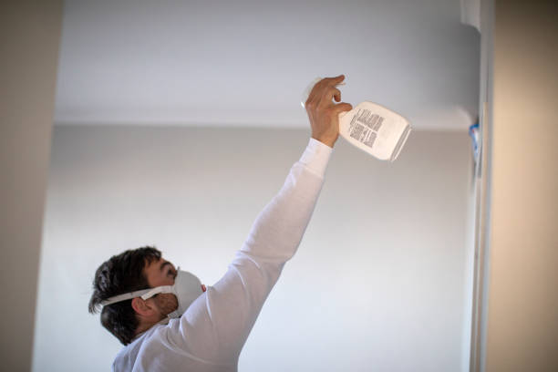 Best Mold Removal Near Me  in Mission Viejo, CA