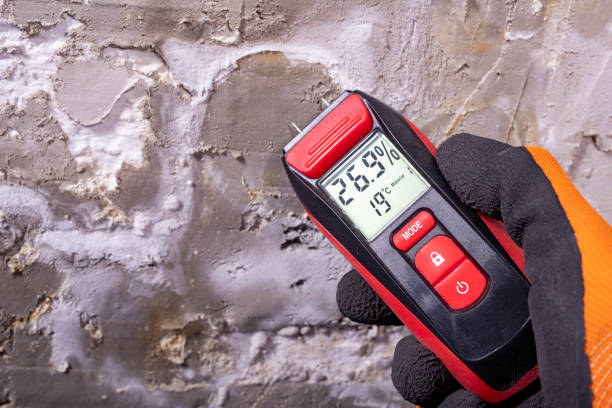 Best Best Mold Removal Companies  in Mission Viejo, CA